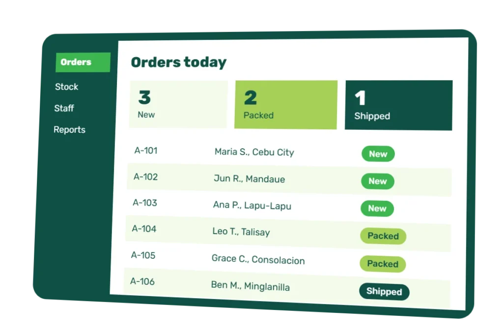 Modern Chameleon custom app and system development for Philippine businesses